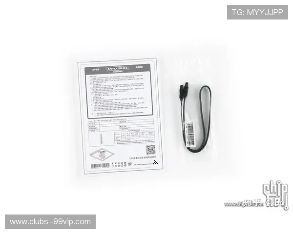 APE3.0技术驱动下的游戏性能全面提升与优化策略解析 APE3.0技术驱动下的游戏性能全面提升与优化策略解析